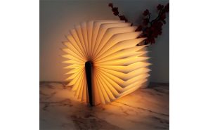 Hanar Book Lamp